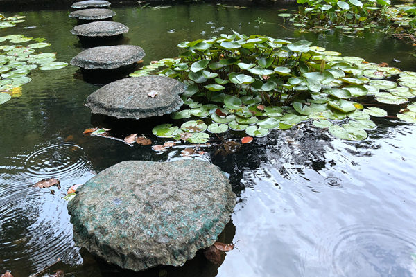 三款羽绒产品入选《升级和创新消费品指南》