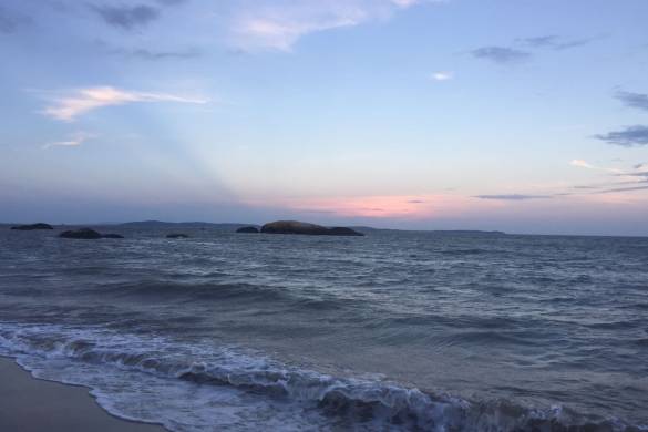 新局启幕忆来路 | 2025产业用纺织品技术市场盘点