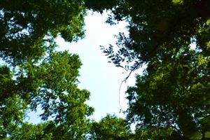 中国纺织工程学会第二十七届理事会丝绸专业委员会成立大会在杭州召开