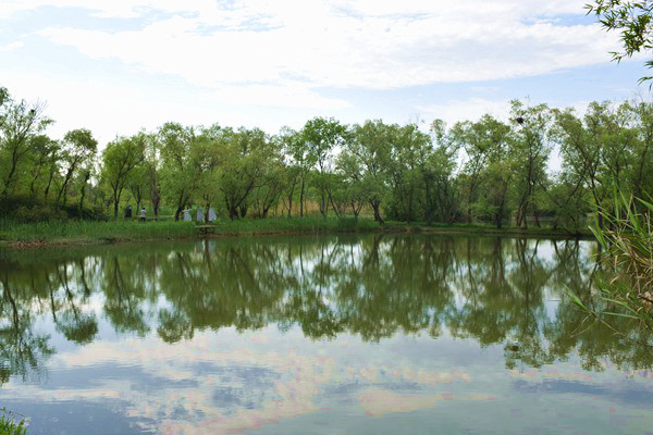 一生一“事”向新行——严华荣与金三发集团的深耕与征途