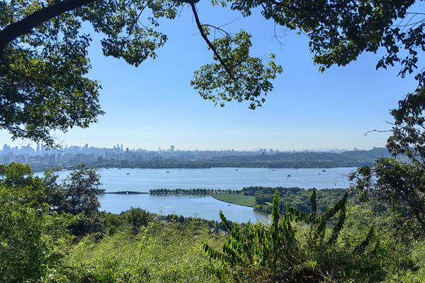 邓州市委书记邓俊峰调研指导“1+N”乡村振兴富民产业发展情况